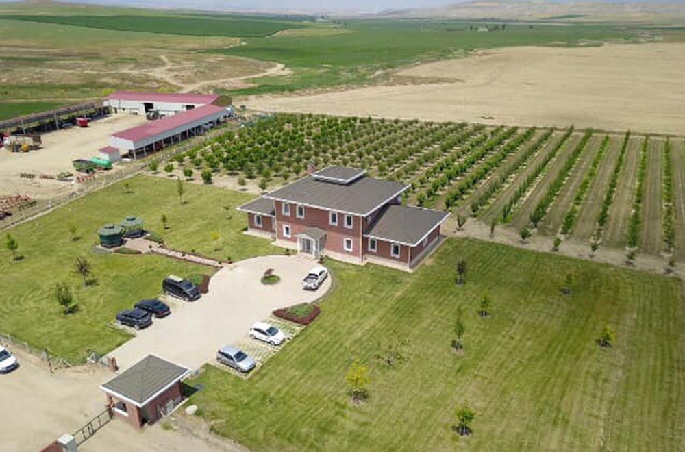 صورة غلاف مشروع Bala Agriculture & Livestock