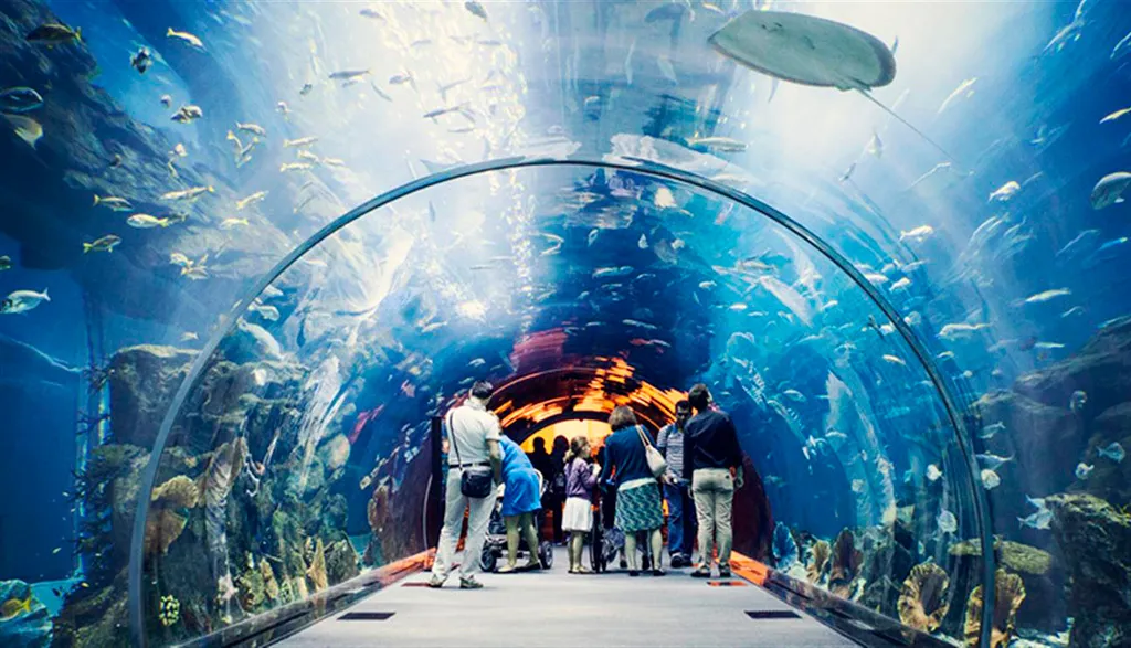 صورة غلاف مشروع Aqua Vega