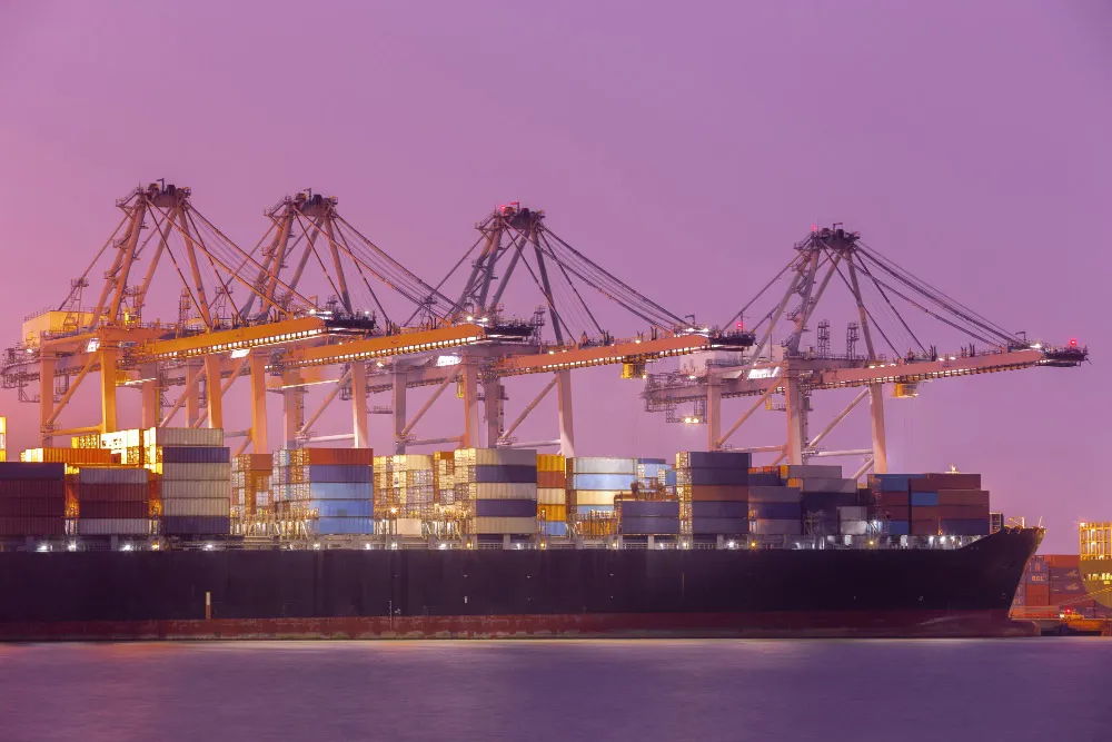 Cover image of the MAS Enterprice Dubai project
